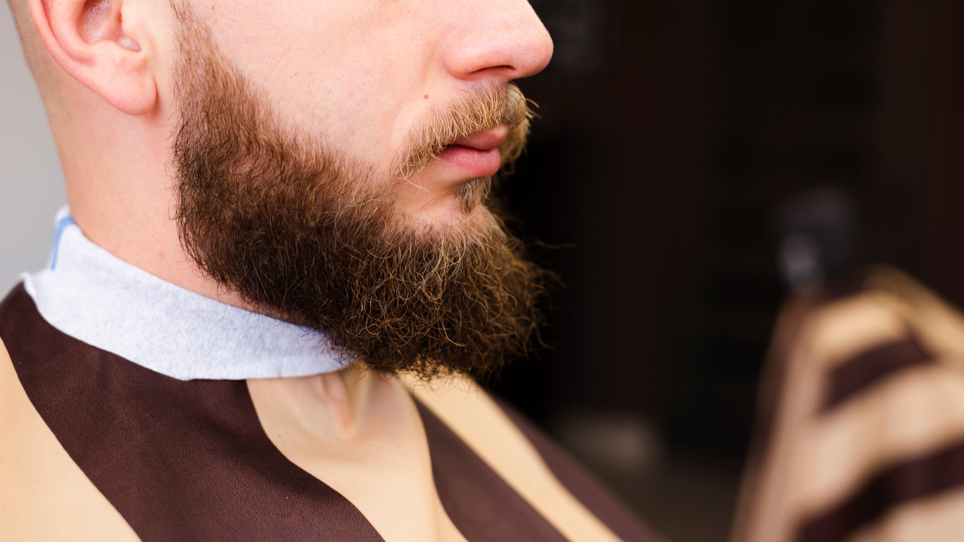 Stili di Barba: Guida Completa secondo la Tradizione Scapicchio 1820