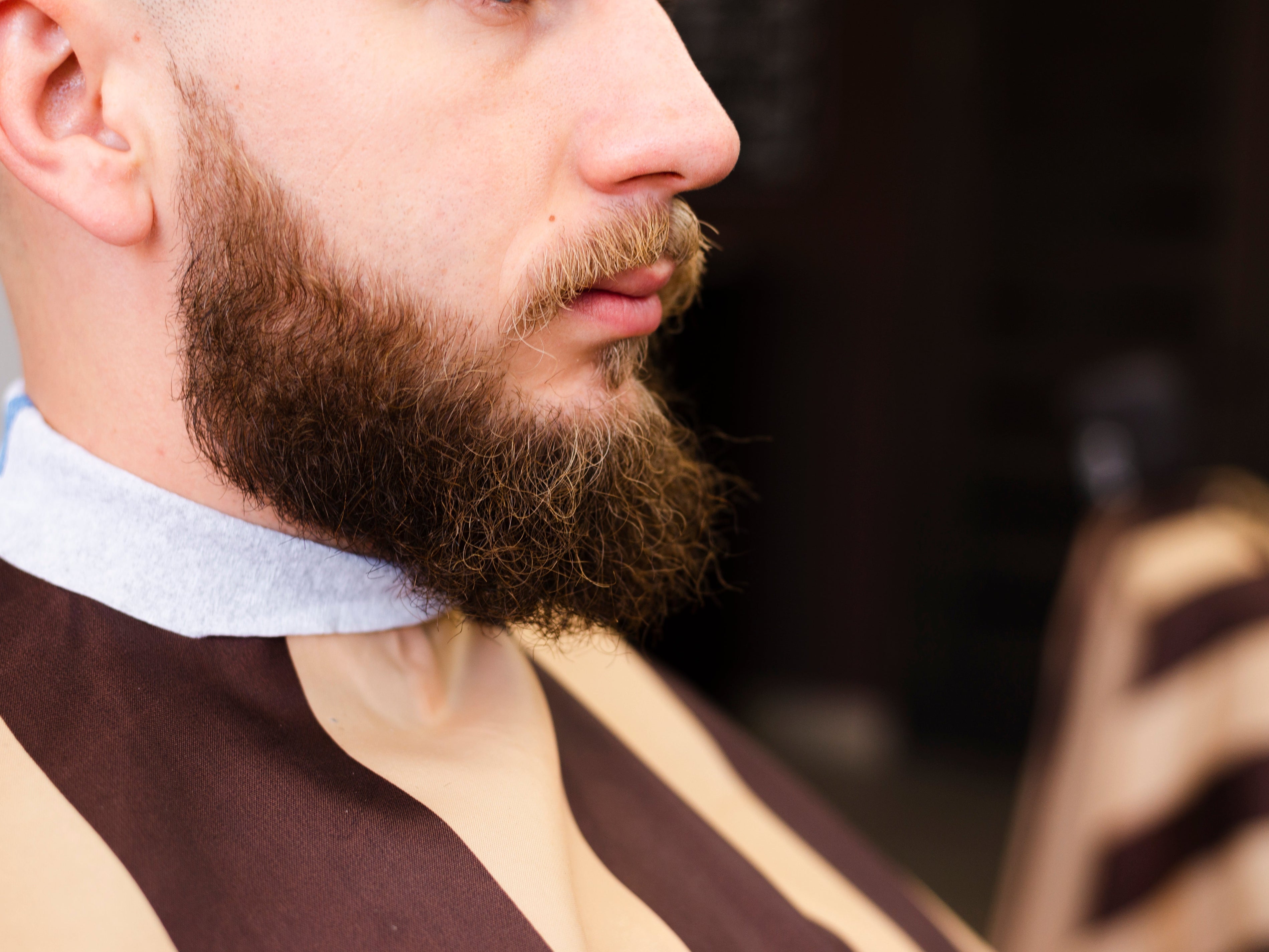 Stili di Barba: Guida Completa secondo la Tradizione Scapicchio 1820