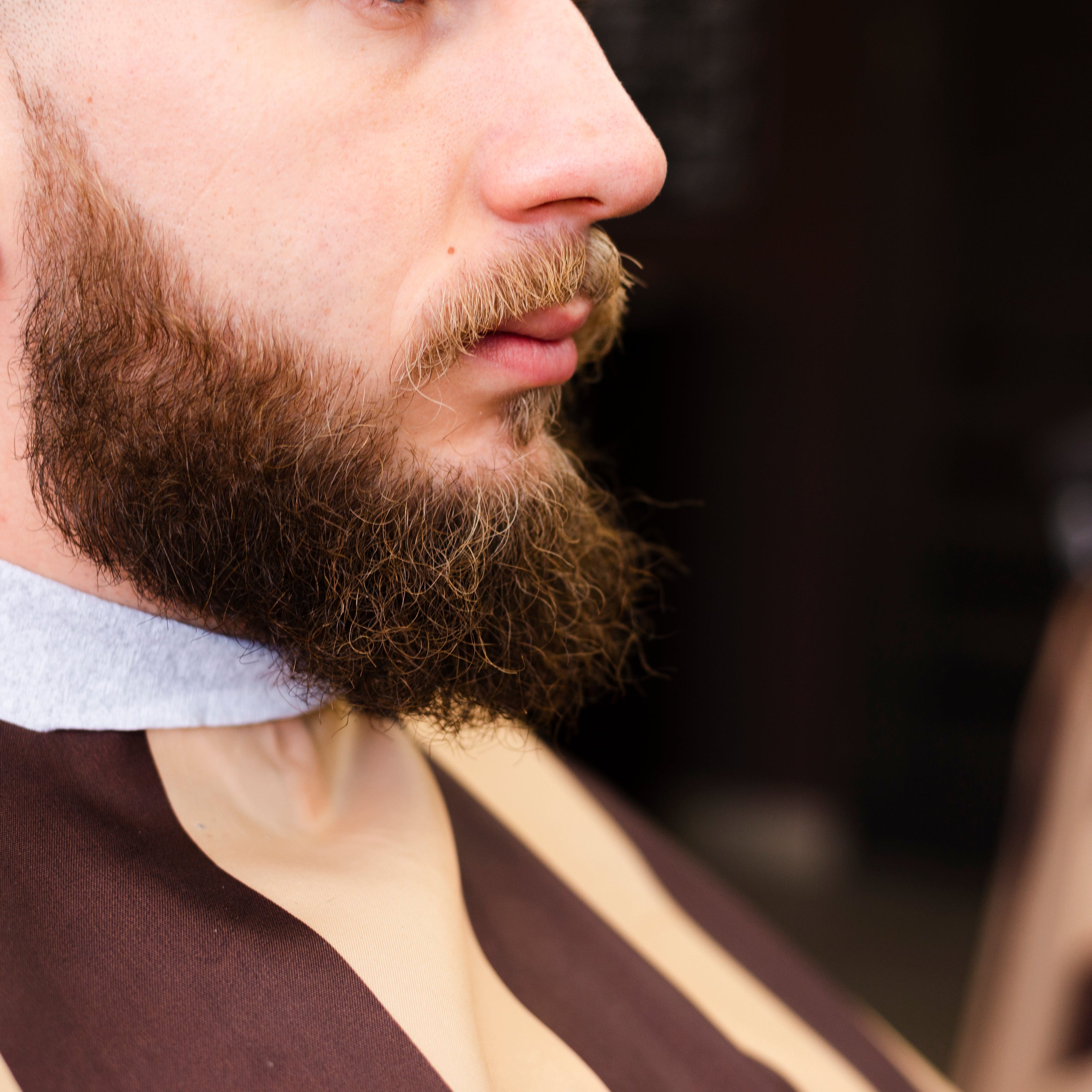 Stili di Barba: Guida Completa secondo la Tradizione Scapicchio 1820